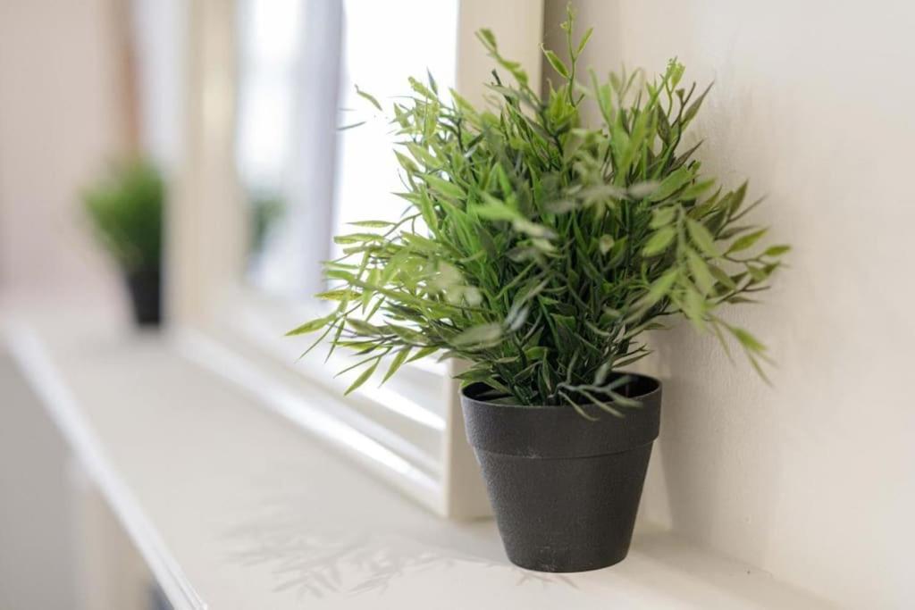 Central Wroclaw Apartment - City Center - Bright And Cozy - U11 Екстериор снимка